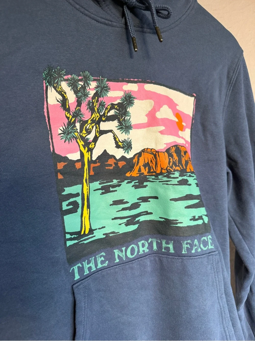 The North Face Graphic Injection Hoodie in shady blue